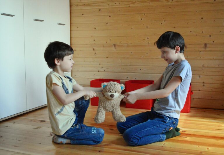 Why Children Hit Their Siblings | What May Be Driving It